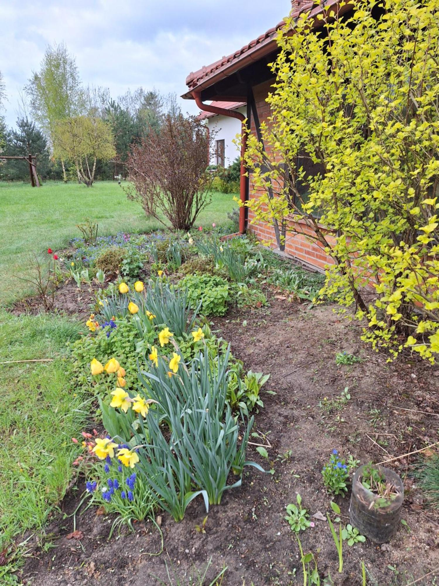 Holiday home Borowy Zakatek Stara Kiszewa